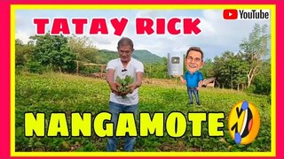 TATAY RICK:NANGAMOTE