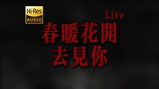"Waiting for the warm spring sunshine, I'll meet you then." DOUDOU — "Spring Blossoms and Warm Sunsh