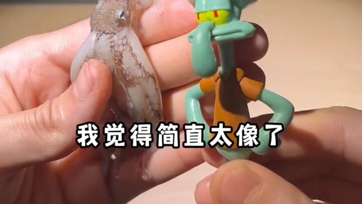 Hei...aku sudah menjadi blogger makanan #Squidward#SpongeBob#Patrick
