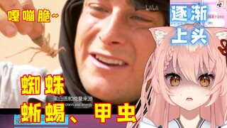 外国猫看贝爷，初次接触「鸡肉味嘎嘣脆」【Hiiro】荒野求生