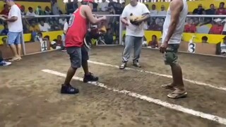 1st fight win