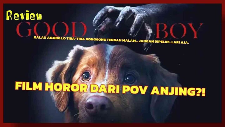 LUCU TAPI SEREM?! 😭 FILM HOROR PALING ANEH TAHUN INI | GOOD BOY