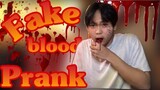 FAKE BLOOD PRANK ON FAMILY | Cath and Waldy