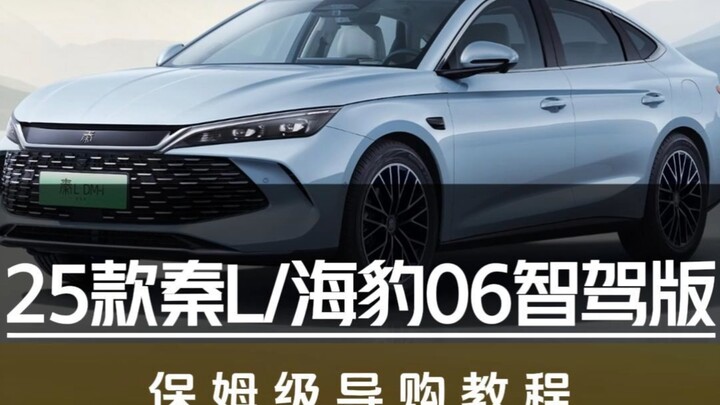 Hướng dẫn mua sắm chi tiết cho 25 phiên bản Qin L/HaiBao 06 hỗ trợ lái thông minh