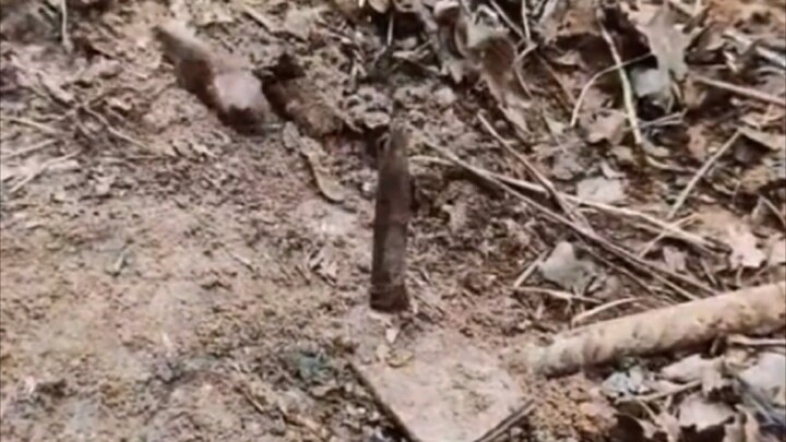 Di hutan aku nemu paku sepanjang ini di tanah—untung aja enggak kena injak kaki!