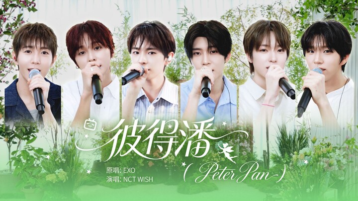 【NCT WISH】Special Live Clip of “Peter Pan” 🧚‍♂️ “NCT WISH Chinese Class is Now Open” – First Reveal 