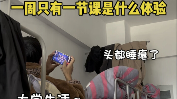 一周只有一节课是什么体验？