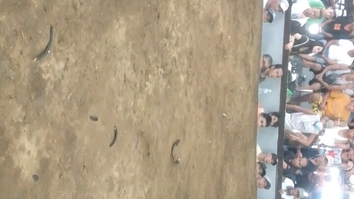 WWWWW TYL!!! GMA COLISEUM susunod ako na mag bibitaw hehe