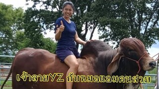 แอมโซทำอะไร? ไปชมกันเลยจ้า