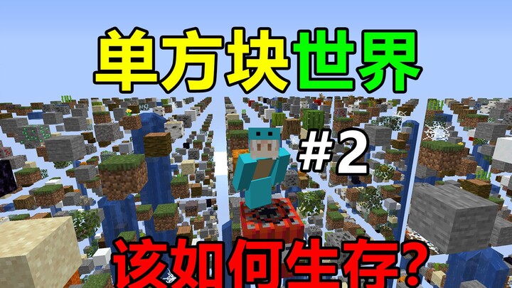 Dunia Kubus Tunggal! Berapa lama kamu bisa bertahan? Bertahan di Dunia Kubus Tunggal #2