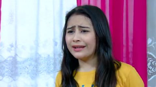 075 Ganteng-Ganteng Serigala