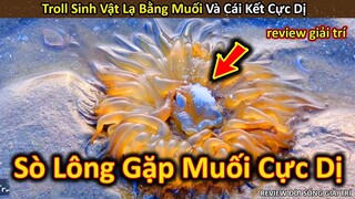 Hảo Hán Review Khám Phá Loài Sinh Vật Lạ Khi Bị Xịt Muối Ăn Vào Mặt || Review Giải Trí Đời Sống