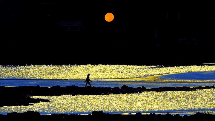 2024｜หนึ่งปีที่สร้างสไตล์ส่วนตัวผ่าน 80 ภาพถ่าย