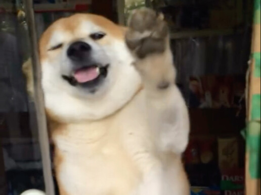 Japanese Puppy Boutique