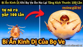 Khám Phá Bí Ẩn Kinh Dị Cơ Thể Tự Giãn Nở Của Loài Bọ Gây Hại Cho Người || Review Giải Trí Đời Sống