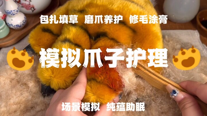 [Chinese Sleep Aid] Tiger Healing Care: Bandaging, Stuffed with Straw, Grooming Fur and Sharpening C