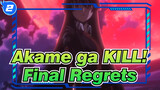 Akame ga KILL!|Final Regrets_2