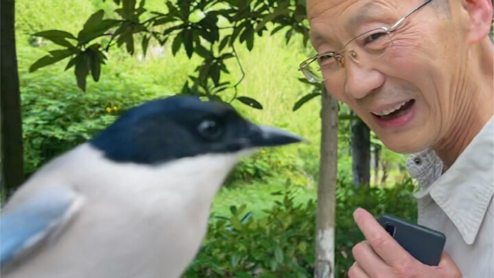 Birds raised on campus really are something else—they even know to greet their teachers!