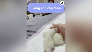 Thế tui là bà hai đứa nó hay là mẹ ba đứa nó, dì dậy trờiiii nhacona meow cat xuhuong mèo fypシ langmeotiktok