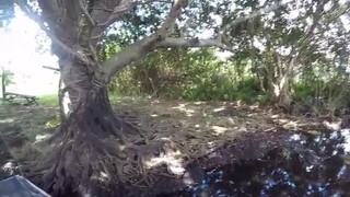 Everglades Airboat