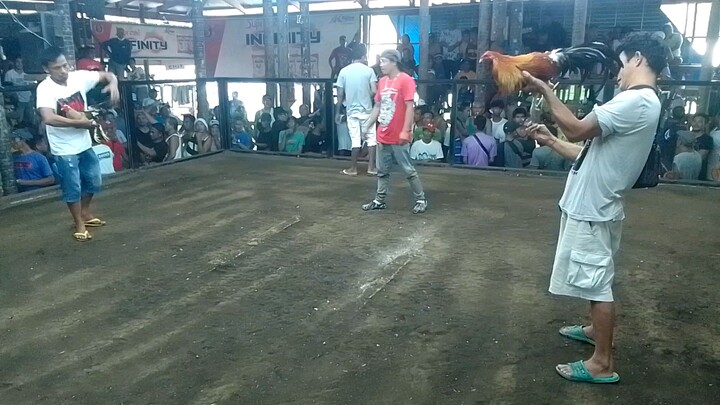 07/20/2025... Gold/Malatuba Filipino warrior