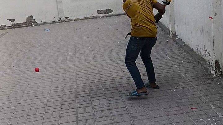 Cricket