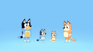 Bluey Extended Intro