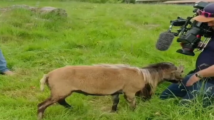 【บันทึกการสังเกตมนุษย์】070 เคล็ดลับคนโสดวันละหนึ่งข้อ