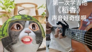稻香怎么唱来着…