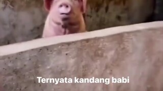 kukira kita spesial 😞😒