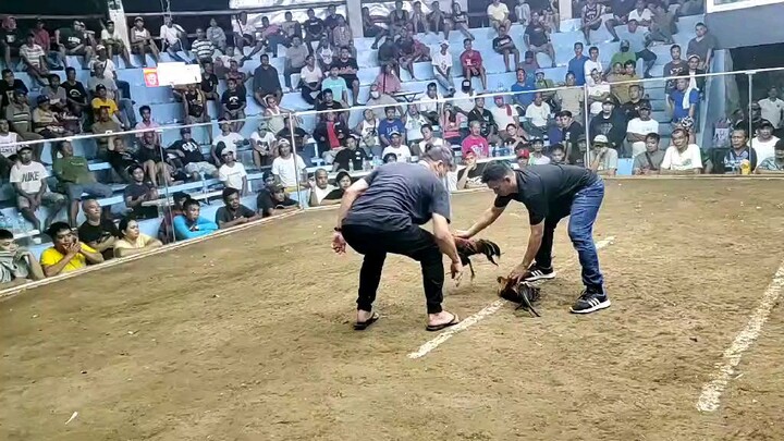 2nd fight win.antique local bands promotion 5stag