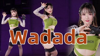 Wadada竖屏溢出屏幕的肉感【玄米】