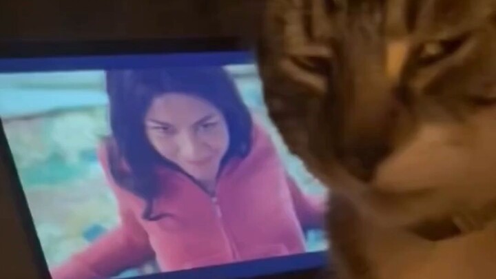 «مهرجان سلوك الحيوانات المربِك 418»