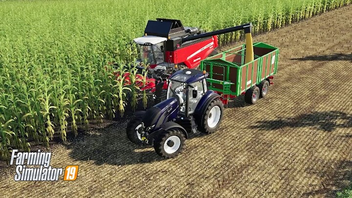 Panen Jagung Yuk! | Farming Simulator 19