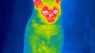 救命！拉个粑粑而已，要不要也这么可爱