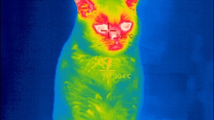 أنقذوني! مجرد تبرز، هل من الضروري أن يكون لطيفًا إلى هذا الحد؟