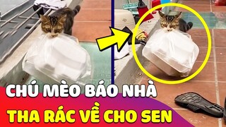 Con Sen nuôi được bé 'MỒN LÈO' có ý thức 'BẢO VỆ MÔI TRƯỜNG' nhưng mà nó lạ lắm 😂 Gâu Đần