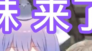 Hương vị ban đầu của Xiaoqi! đang tới! 【Star Tide Seki / Lotisse / Aki Rinco】