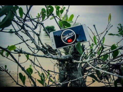 Bentuk Bentuk kebohongan&Ajaib nya orang indonesia