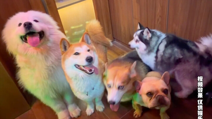 A baby over 400 months old has come to the secret base!