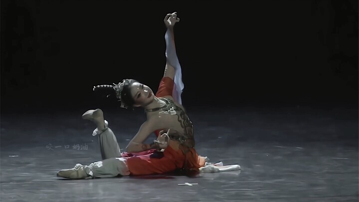 "Silk Road, step by step, lotus"