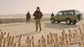 Don't bully small animals, or the whole tribe will curse you.