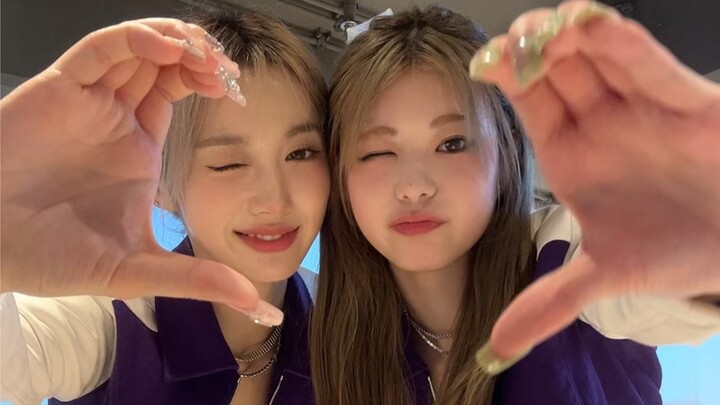 [Fate Last Train] สายแล้ว แต่ก็มาแล้ว~ มาเต้นรำกับรวนจังกันเถอะ!