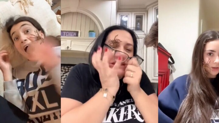 Khi dùng hiệu ứng nhện để trêu chọc gia đình thì hài hước quá đà luôn!