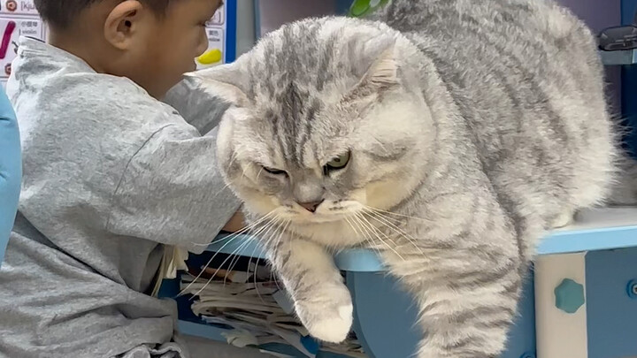 นอนไม่ได้ก็ย่อตัวนั่ง ย่อจนเมื่อยก็นอนคว่ำ ยังไงก็ต้องอยู่บนโต๊ะอยู่ดี