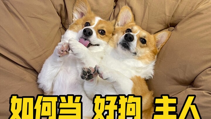 "Anjing" "Tuan" "Manusia"