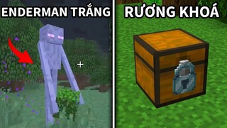 20 Tính Năng Chỉ Có Người Chơi LÂU NĂM Mới Biết Về Minecraft