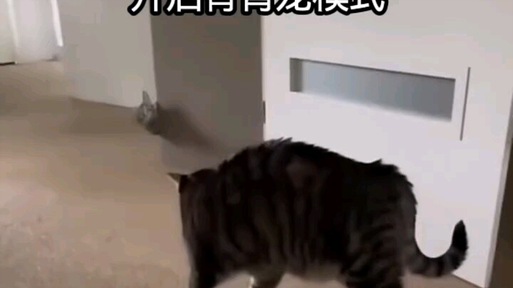 Is the fake cat this calm?