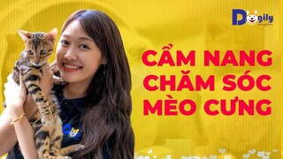 Cách nuôi mèo con từ A đến Z - Hướng dẫn cách chăm sóc mèo con khi về nhà mới