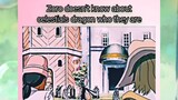 Zoro doesn't know about celestial dragon